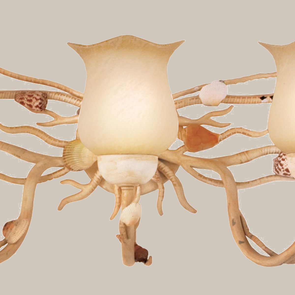 Seashell 3-Light Wall Sconce